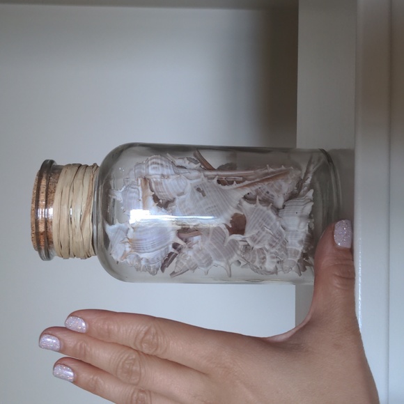 Jar of sealed shells - Picture 2 of 4